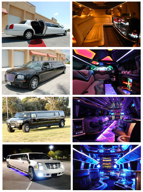 Limo Service Tampa FL